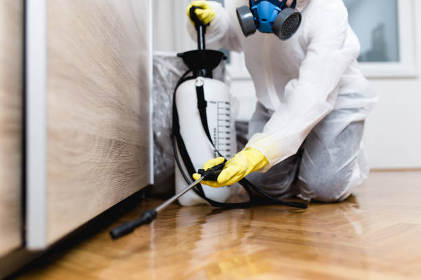 Best Flea Control Services  in Hazel Green, AL