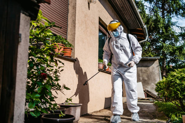 Best Exterminator Services  in Hazel Green, AL