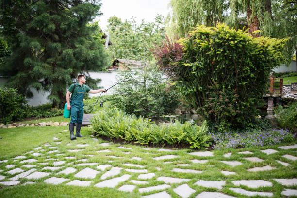 Best Affordable Pest Control Services  in Hazel Green, AL
