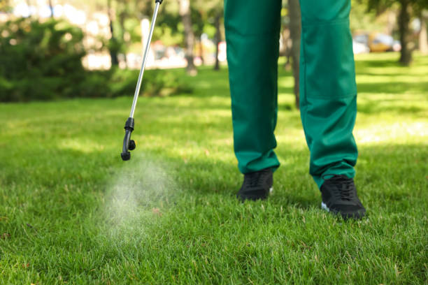 Best Pest Prevention Services  in Hazel Green, AL