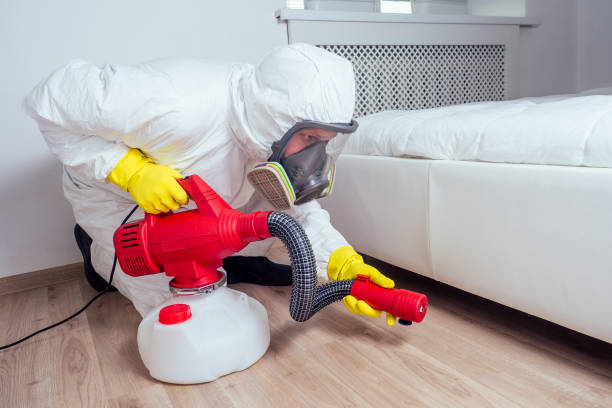 Best Residential Pest Control  in Hazel Green, AL