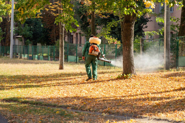 Best Residential Pest Control  in Hazel Green, AL
