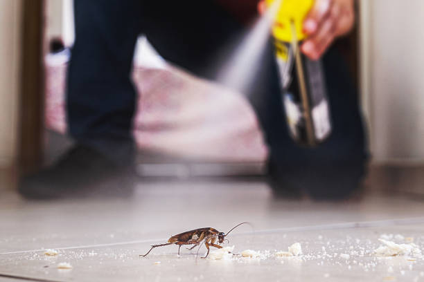 Professional Pest Control in Hazel Green, AL