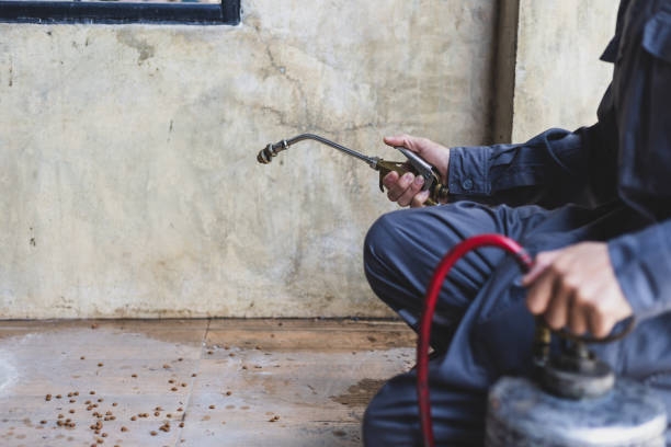 Pest Control Cost in Hazel Green, AL